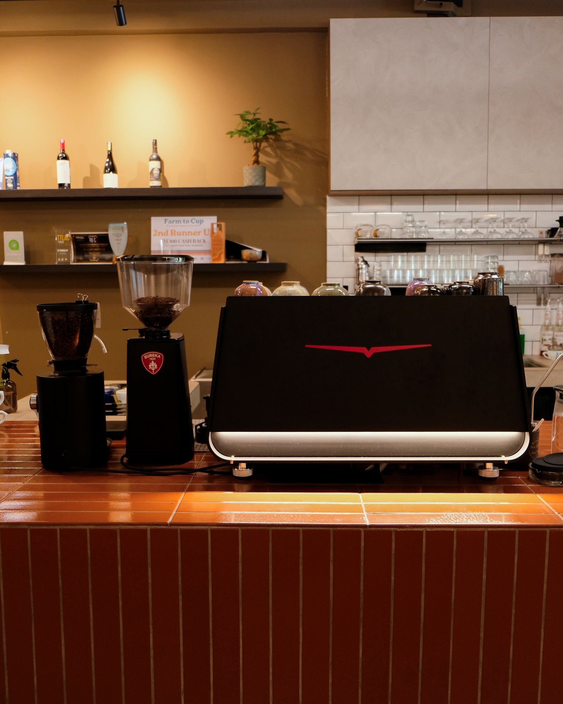 Cafe Feature : Absorb Sunlight