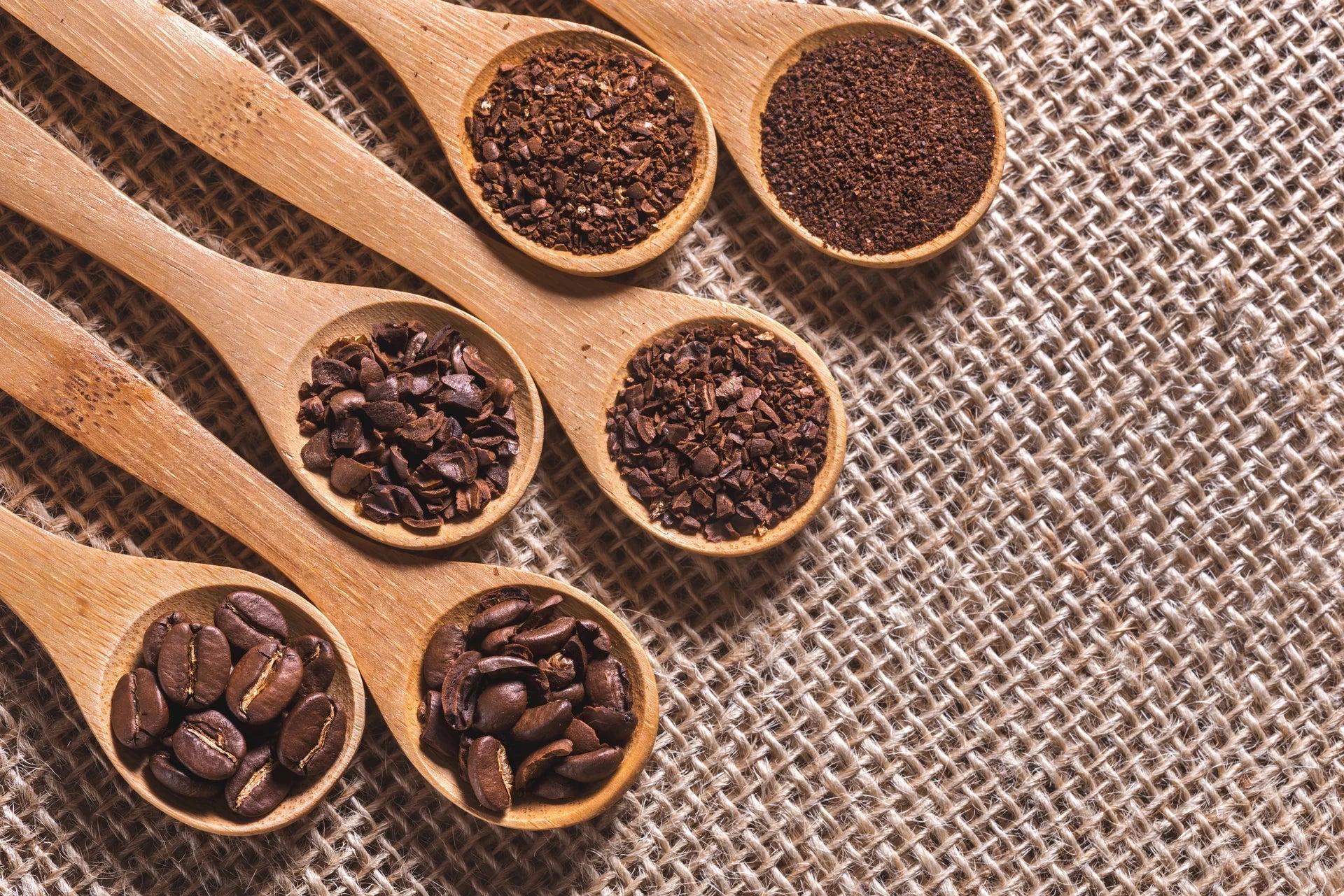 Wooden spoons showing whole beans, coarse, medium and fine ground coffee for different brewing methods.