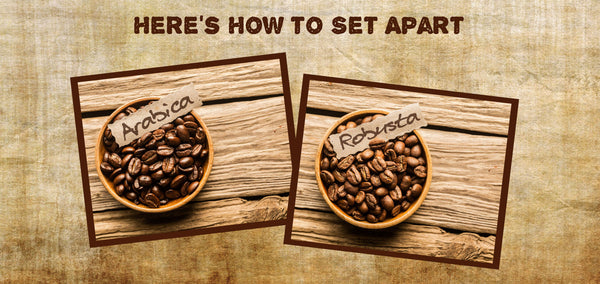 Here's How to Set Apart Arabica and Robusta Beans