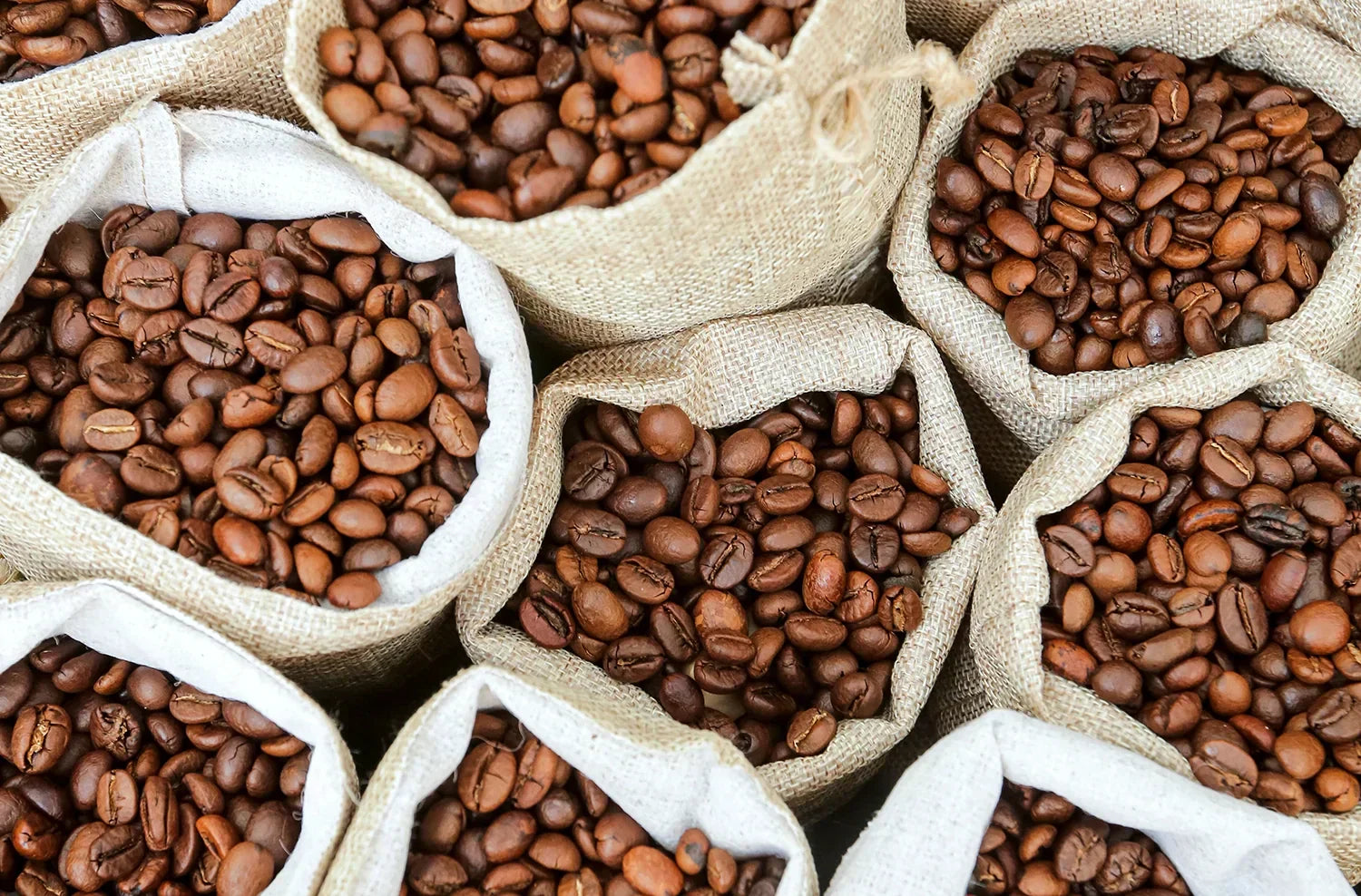Roasted coffee beans in burlap sacks, comparing Arabica and Robusta beans for a better coffee brew