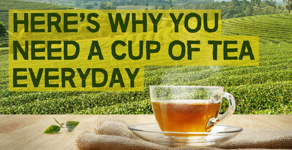 Here’s Why You Need a Cup of Tea Everyday.