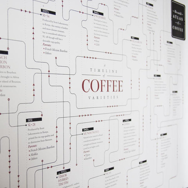 Coffee Variety Timeline Poster