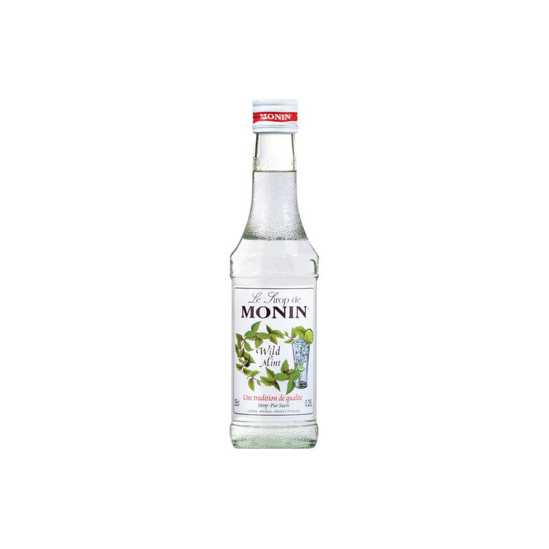 MONIN SYRUP 250ML