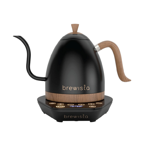 Brewista Artisan gooseneck teapot - matte black